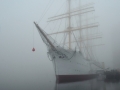 PhotoBySven_Viking.jpg